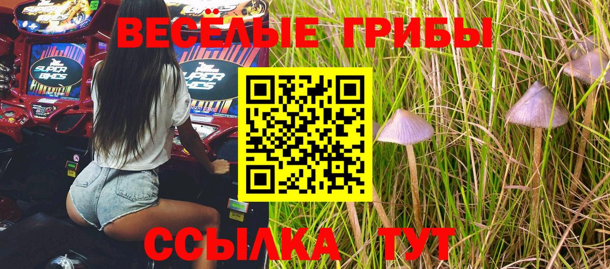 Галлюциногенные грибы Cubensis  Вход с VPN  Шелехов  Галлюциногенные грибы GOLDEN TEACHER 