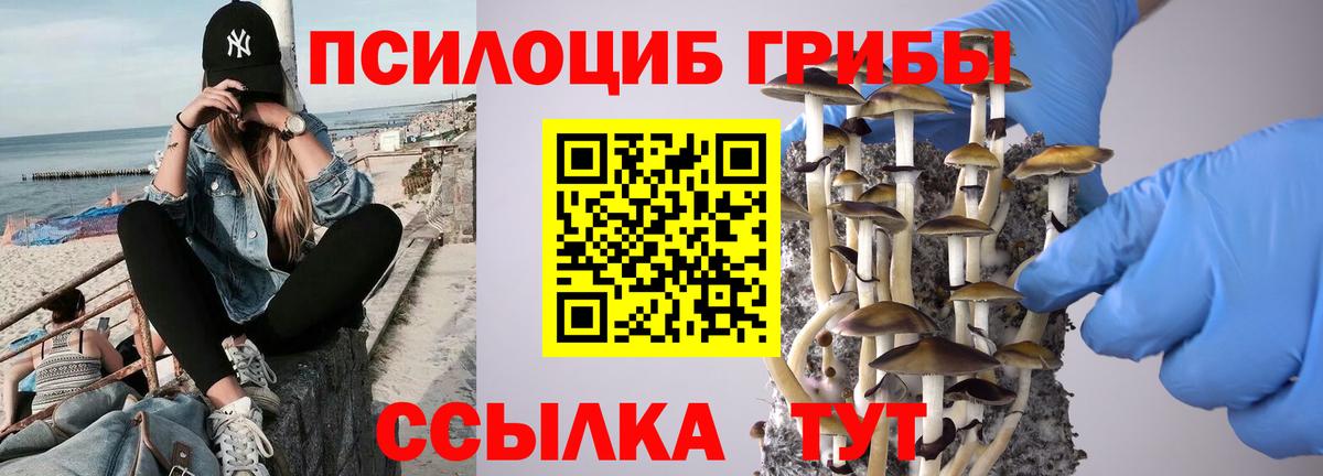 Псилоцибиновые грибы GOLDEN TEACHER Шелехов
